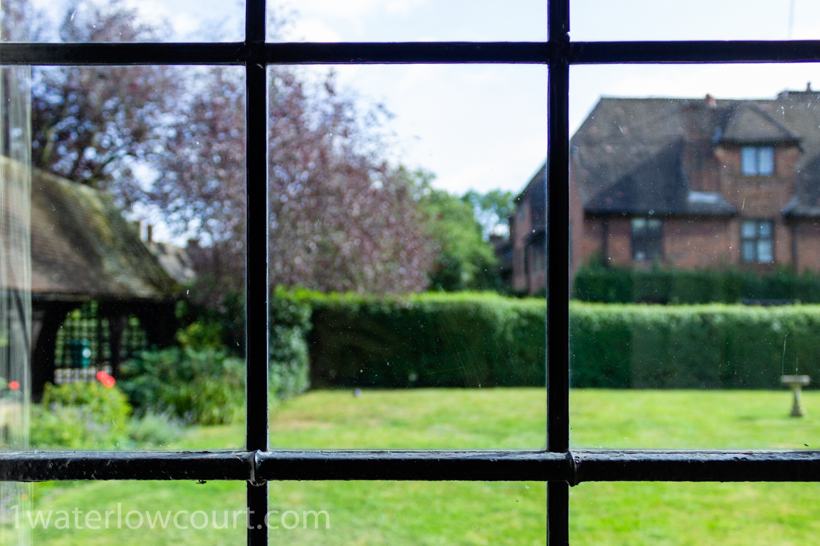 Leaded window, looking across the north east garden, flat 1, Waterlow Court.